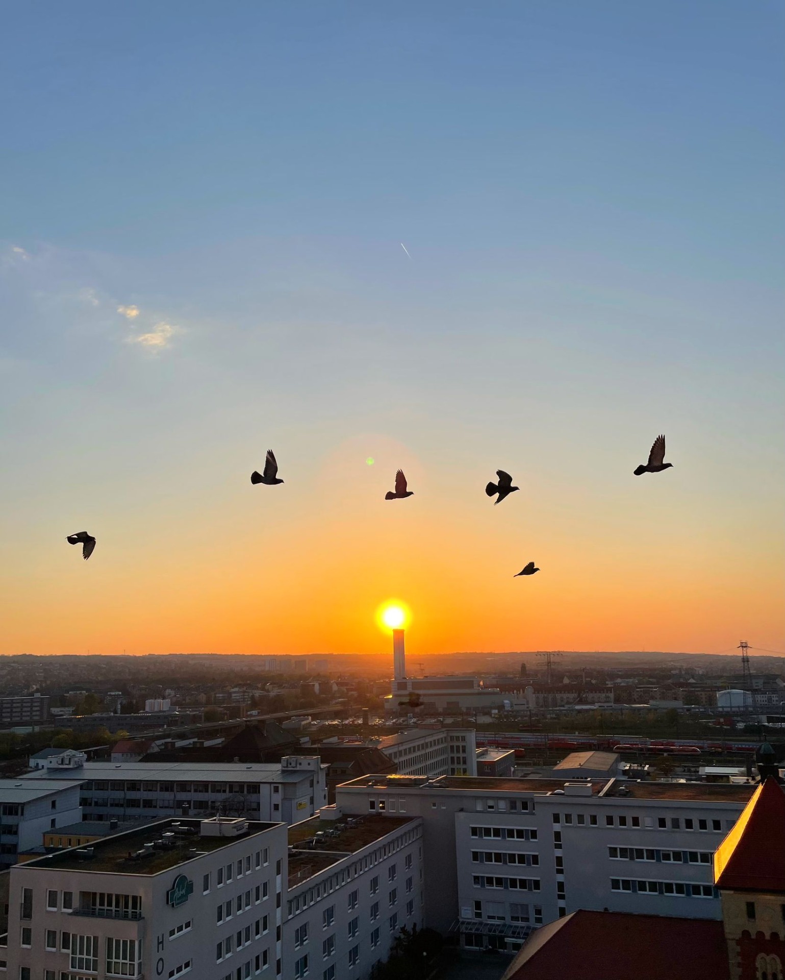 Tauben fliegen bei Sonnenuntergang über Hausdächer