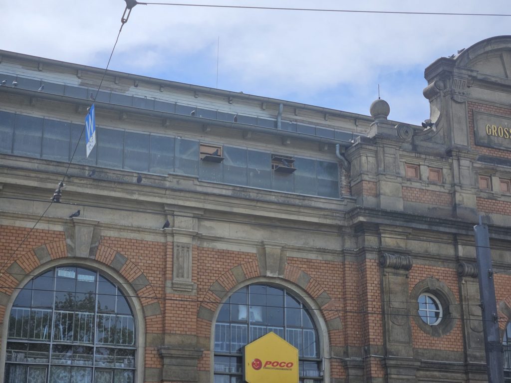 Vorschaubild zum Bericht: Friese Journal, Dresdner Verein kümmert sich um Stadttauben am Bahnhof Mitte