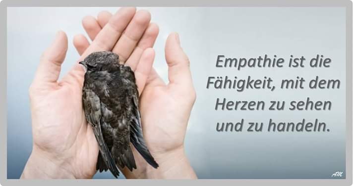 Zwei Hände halten einen kleinen Vogel, daneben der Spruch: Empathie ist die Fähigkeit, mit dem Herzen zu sehen und zu handeln
