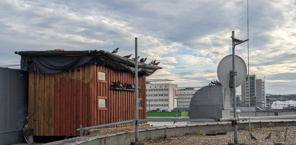 Holzhütte auf einem Flachdach über der Stadt