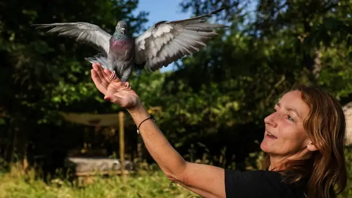 Frau lässt eine Taube von ihrer Hand fliegen