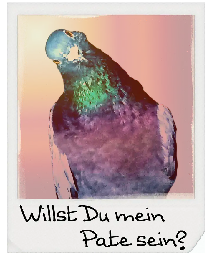 Polaroid-Foto einer Taube mit der Aufschrift „Willst Du mein Pate sein?“. Zum Patenschaftsantrag.