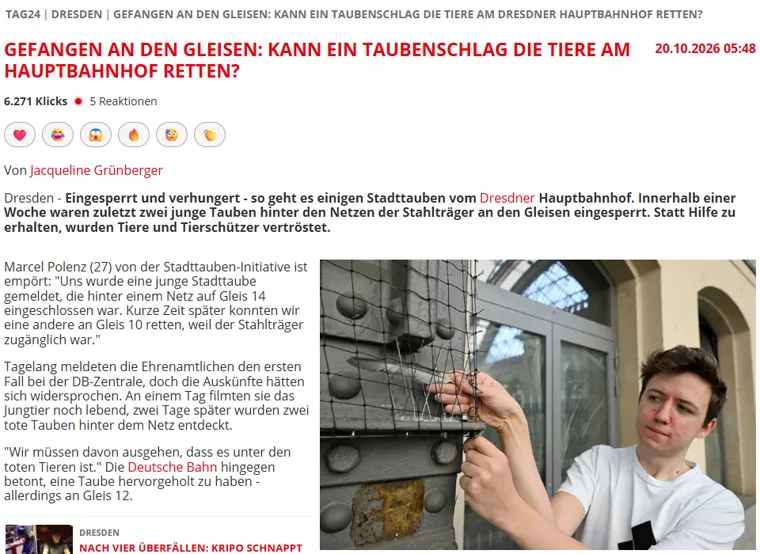 Vorschaubild zum Bericht: TAG 24, Gefangen an den Gleisen: Kann ein Taubenschlag die Tiere am Hauptbahnhof retten?